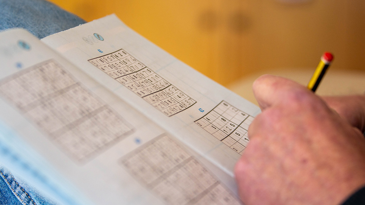 testez vos compétences en sudoku avec nos grilles de différents niveaux. amusez-vous tout en développant votre logique et concentration.